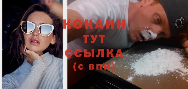 шишки Белокуриха