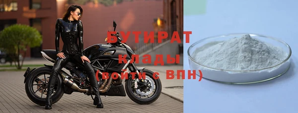 шишки Белокуриха