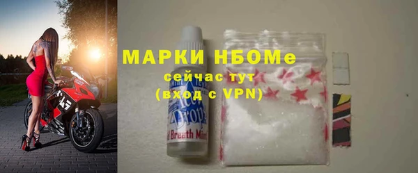 шишки Белокуриха