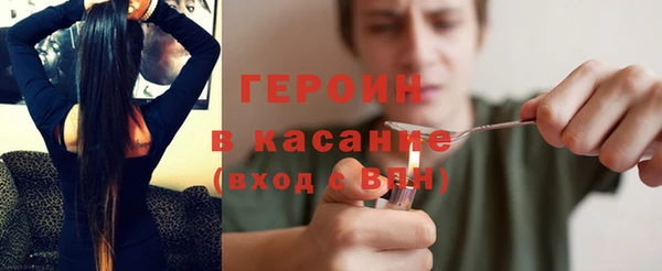 шишки Белокуриха