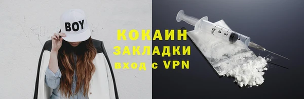 шишки Белокуриха