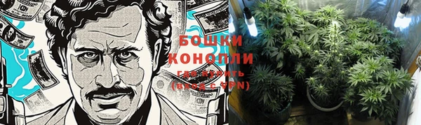 шишки Белокуриха