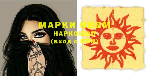 шишки Белокуриха