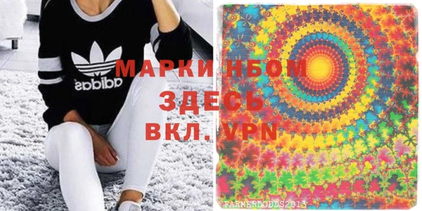 шишки Белокуриха
